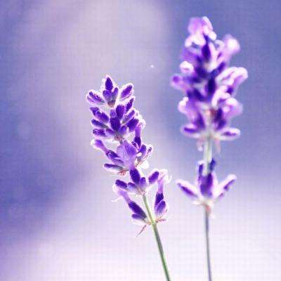 竞彩足球app官网下载截图